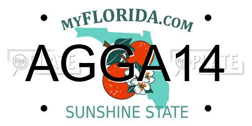 AGGA14 Florida License Plate