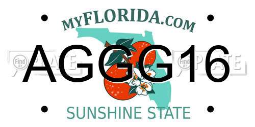 AGGG16 Florida License Plate