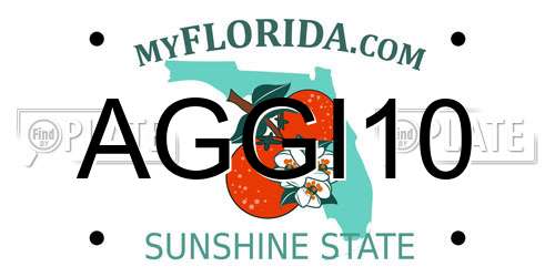 AGGI10 Florida License Plate