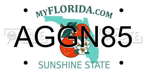 AGGN85 Florida License Plate