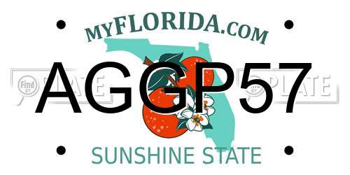 AGGP57 Florida License Plate