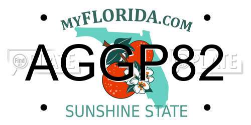 AGGP82 Florida License Plate