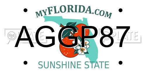 AGGP87 Florida License Plate