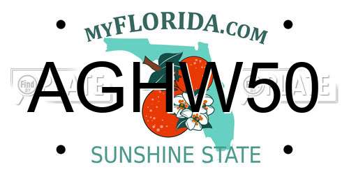 AGHW50 Florida License Plate