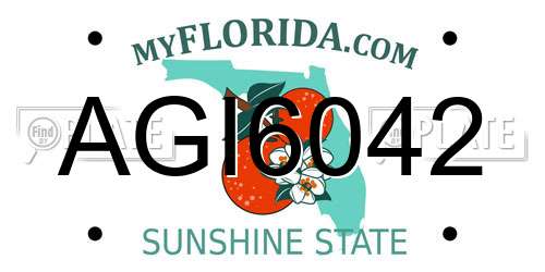 AGI6042 Florida License Plate