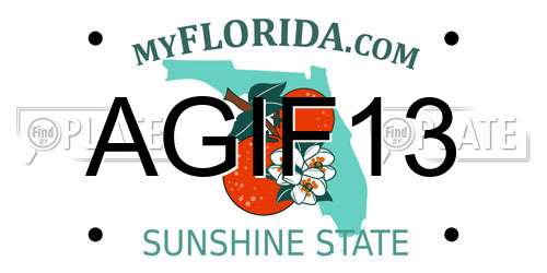 AGIF13 Florida License Plate