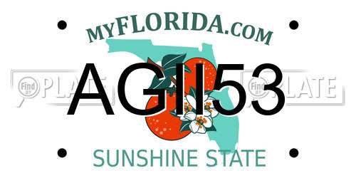 AGII53 Florida License Plate
