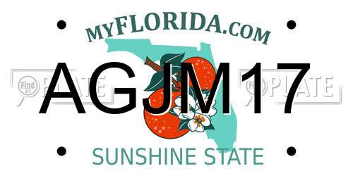 AGJM17 Florida License Plate
