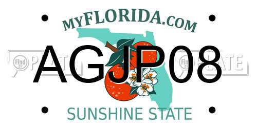 AGJP08 Florida License Plate