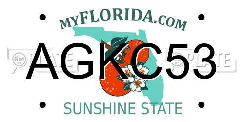 AGKC53 Florida License Plate