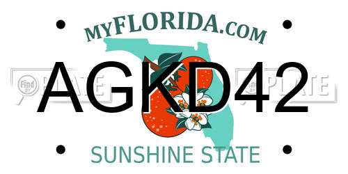 AGKD42 Florida License Plate