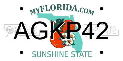 AGKP42 Florida License Plate