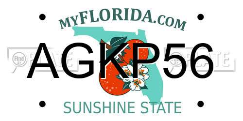 AGKP56 Florida License Plate