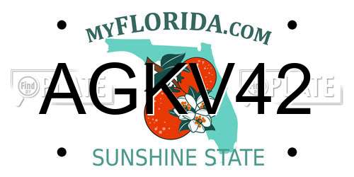 AGKV42 Florida License Plate