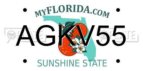 AGKV55 Florida License Plate
