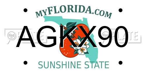 AGKX90 Florida License Plate