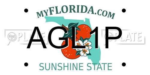 AGL1P Florida License Plate