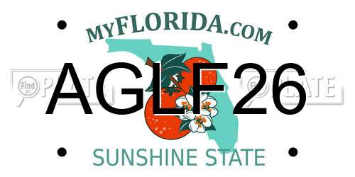 AGLF26 Florida License Plate