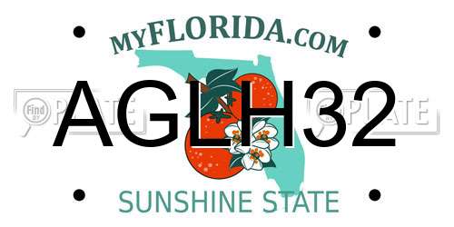 AGLH32 Florida License Plate