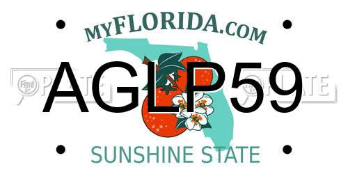 AGLP59 Florida License Plate