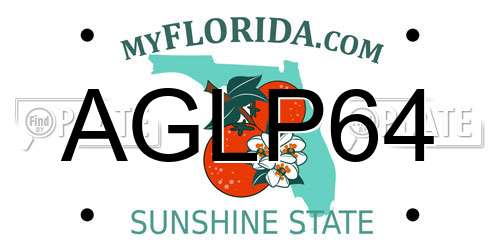 AGLP64 Florida License Plate