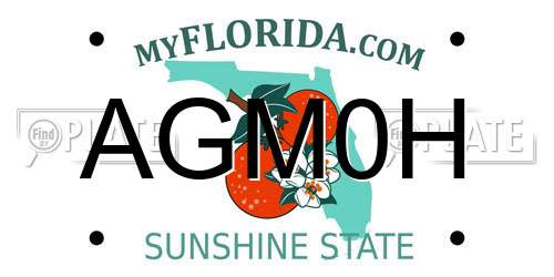 AGM0H Florida License Plate