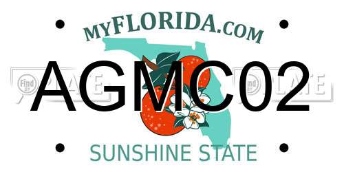 AGMC02 Florida License Plate