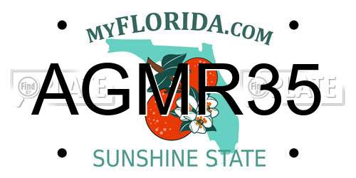 AGMR35 Florida License Plate