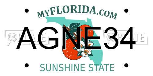 AGNE34 Florida License Plate