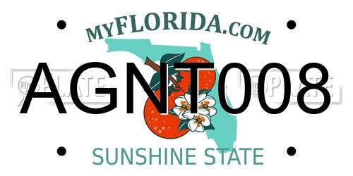 AGNT008 Florida License Plate