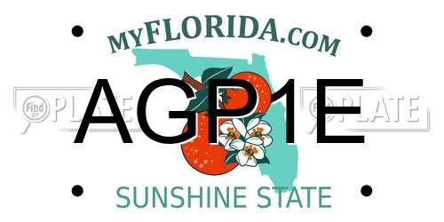 AGP1E Florida License Plate