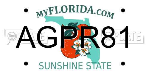 AGPR81 Florida License Plate
