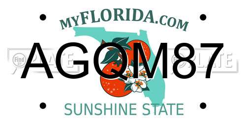 AGQM87 Florida License Plate