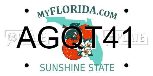 AGQT41 Florida License Plate