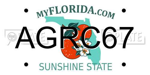 AGRC67 Florida License Plate