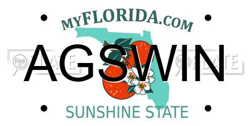 AGSWIN Florida License Plate