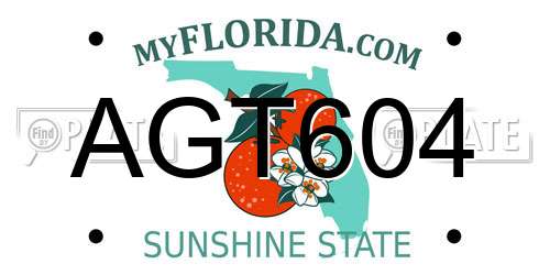 AGT604 Florida License Plate