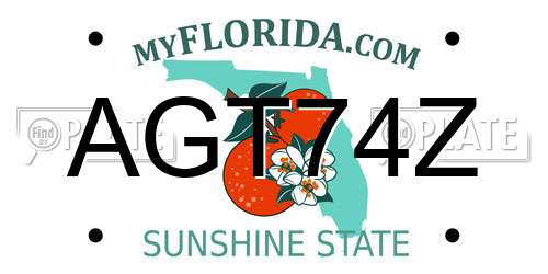 AGT74Z Florida License Plate