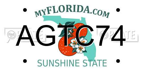 AGTC74 Florida License Plate
