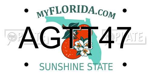 AGTT47 Florida License Plate