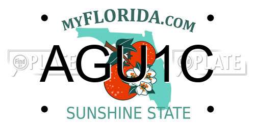AGU1C Florida License Plate