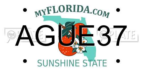 AGUE37 Florida License Plate