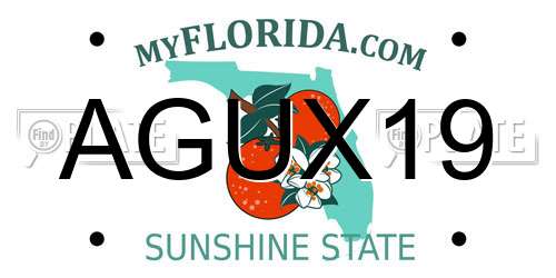 AGUX19 Florida License Plate