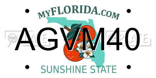AGVM40 Florida License Plate