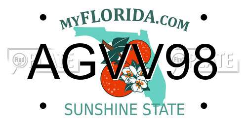 AGVV98 Florida License Plate