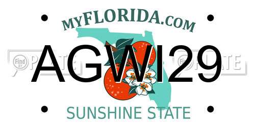 AGWI29 Florida License Plate