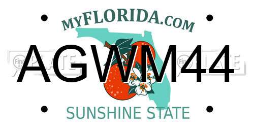 AGWM44 Florida License Plate