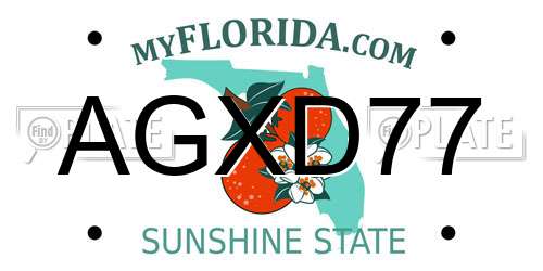 AGXD77 Florida License Plate