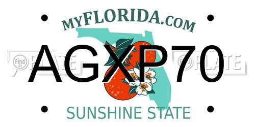 AGXP70 Florida License Plate