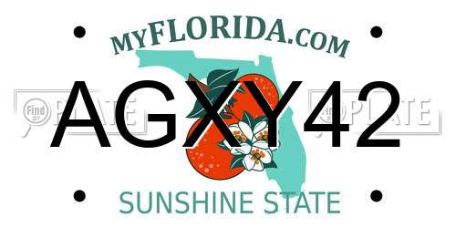 AGXY42 Florida License Plate